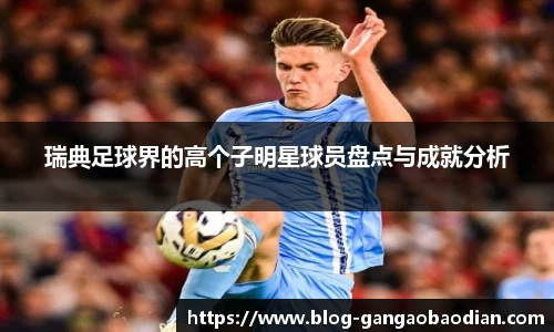 瑞典足球界的高个子明星球员盘点与成就分析