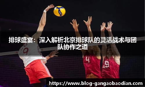 排球盛宴：深入解析北京排球队的灵活战术与团队协作之道